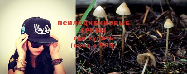 мяу мяу мука Абинск