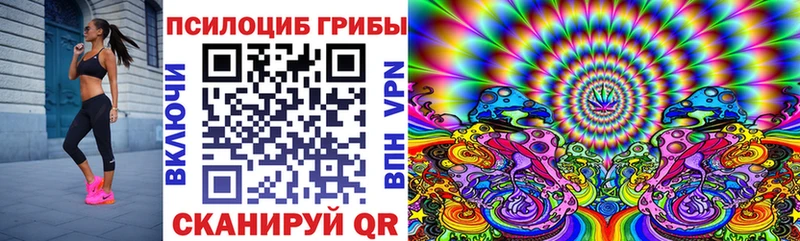 Псилоцибиновые грибы Magic Shrooms блэк спрут как войти Норильск